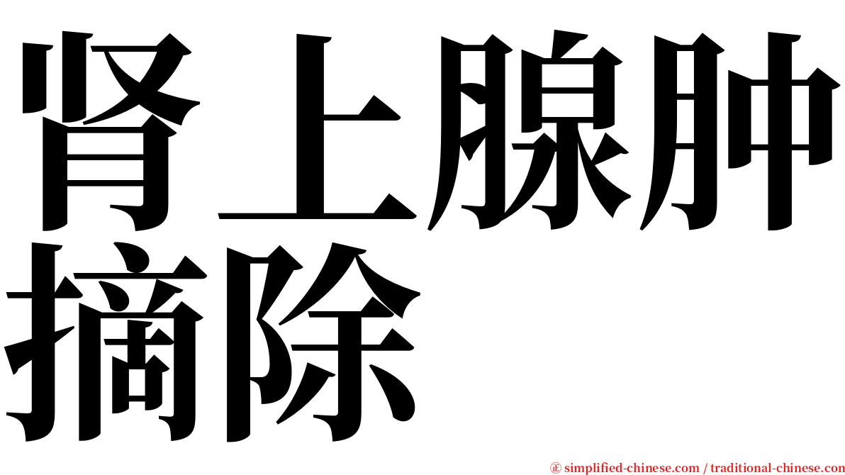 肾上腺肿摘除 serif font