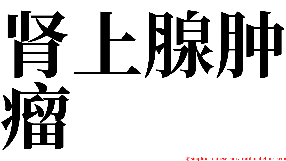 肾上腺肿瘤 serif font