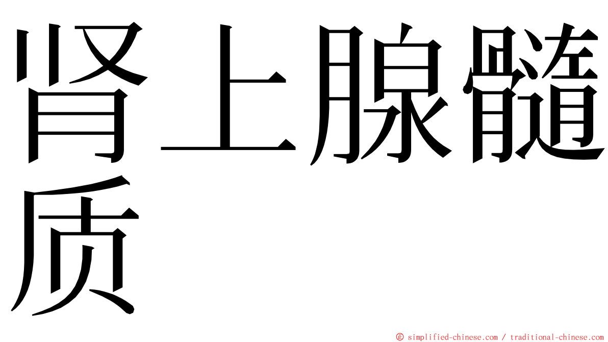 肾上腺髓质 ming font