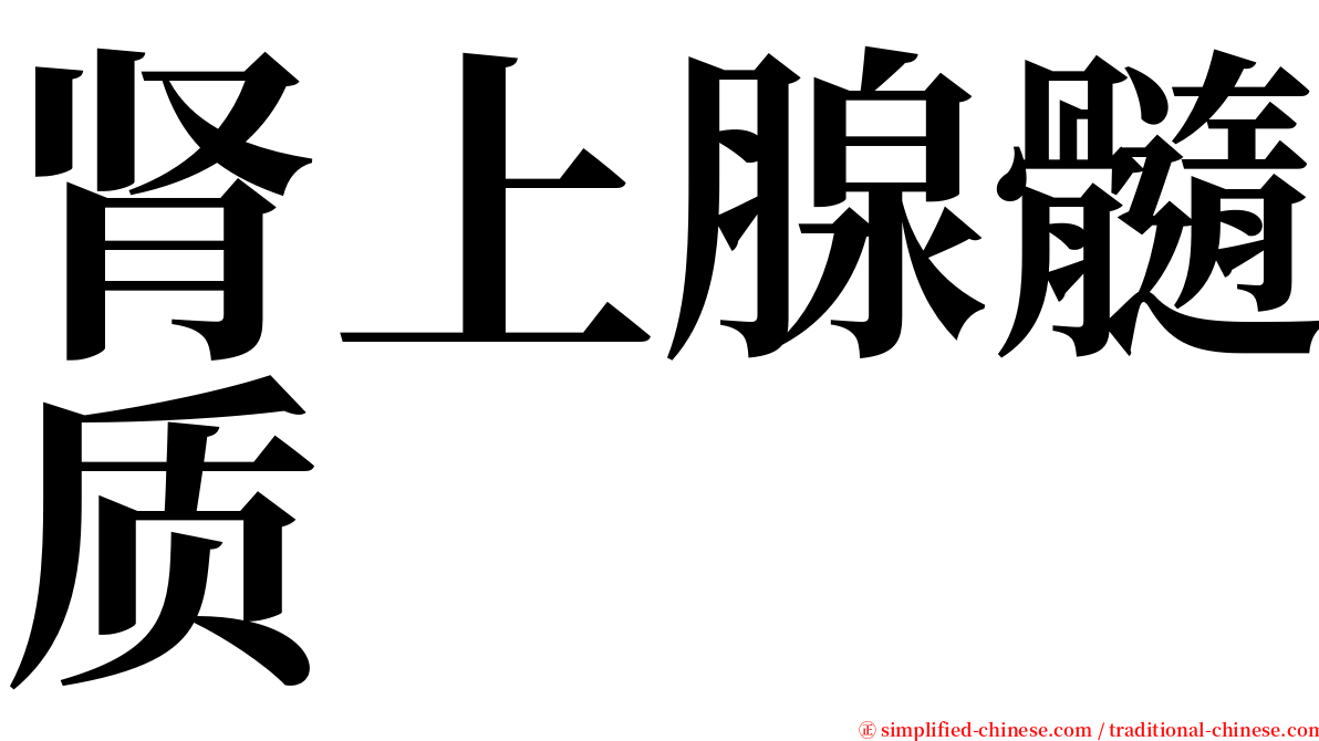 肾上腺髓质 serif font