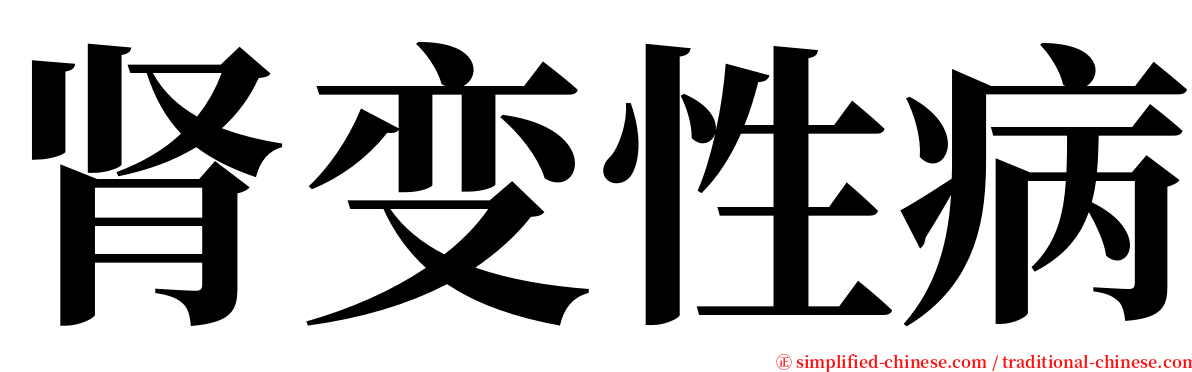 肾变性病 serif font