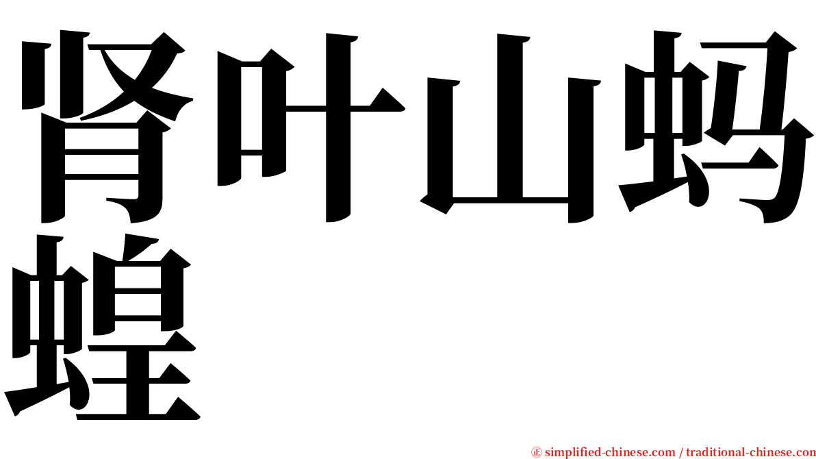 肾叶山蚂蝗 serif font