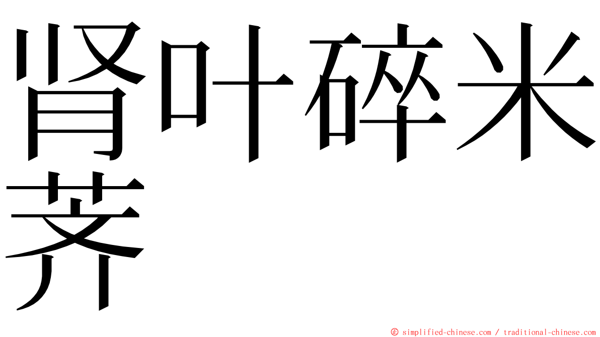 肾叶碎米荠 ming font