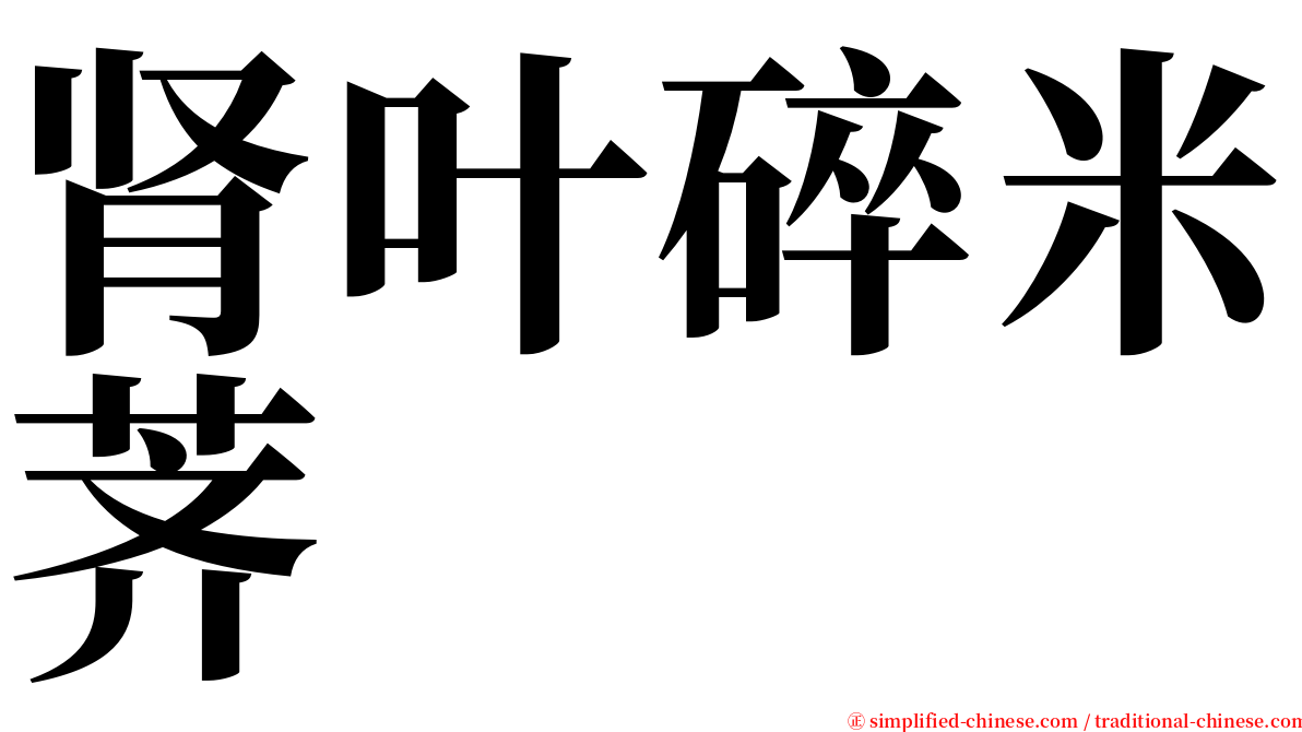 肾叶碎米荠 serif font