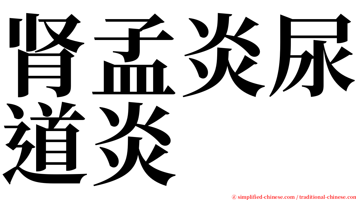 肾孟炎尿道炎 serif font