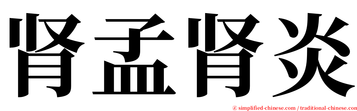 肾孟肾炎 serif font