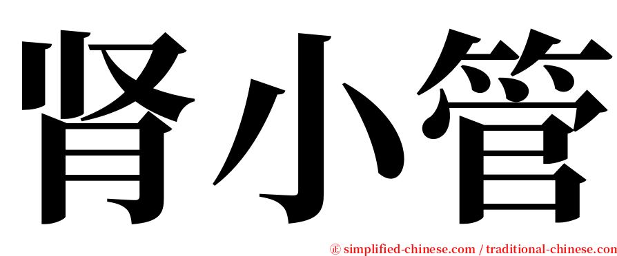 肾小管 serif font