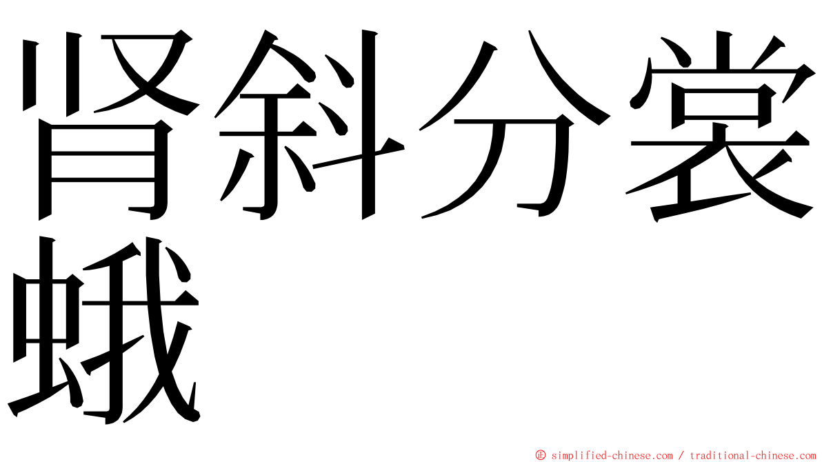 肾斜分裳蛾 ming font