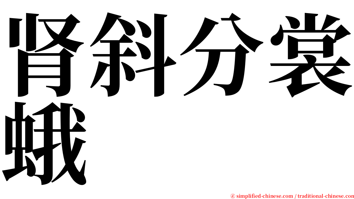 肾斜分裳蛾 serif font