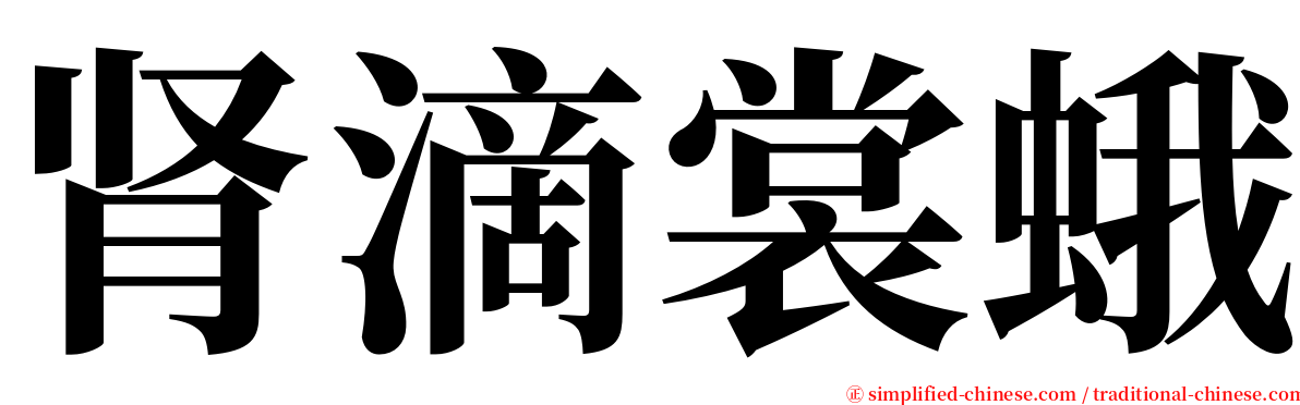 肾滴裳蛾 serif font