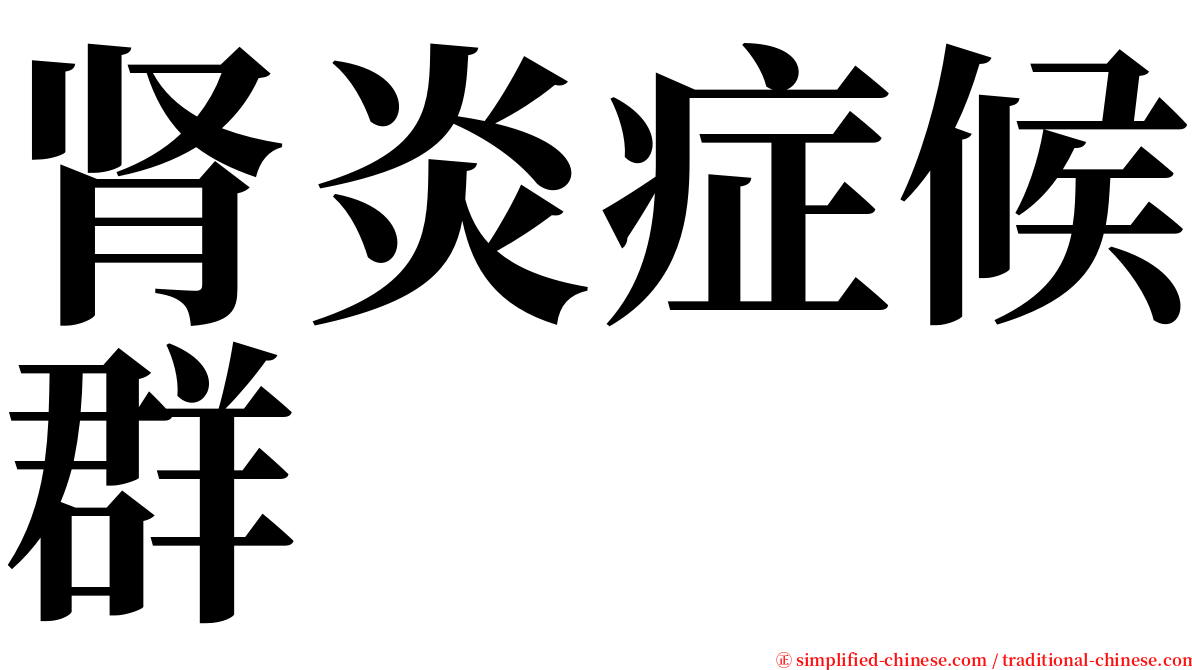 肾炎症候群 serif font