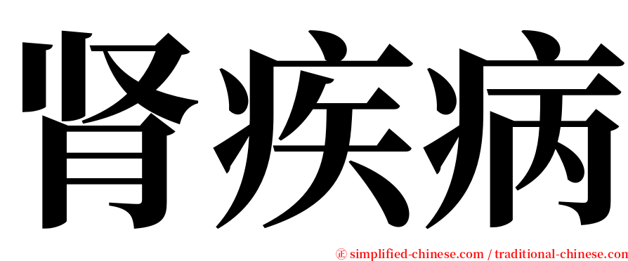 肾疾病 serif font