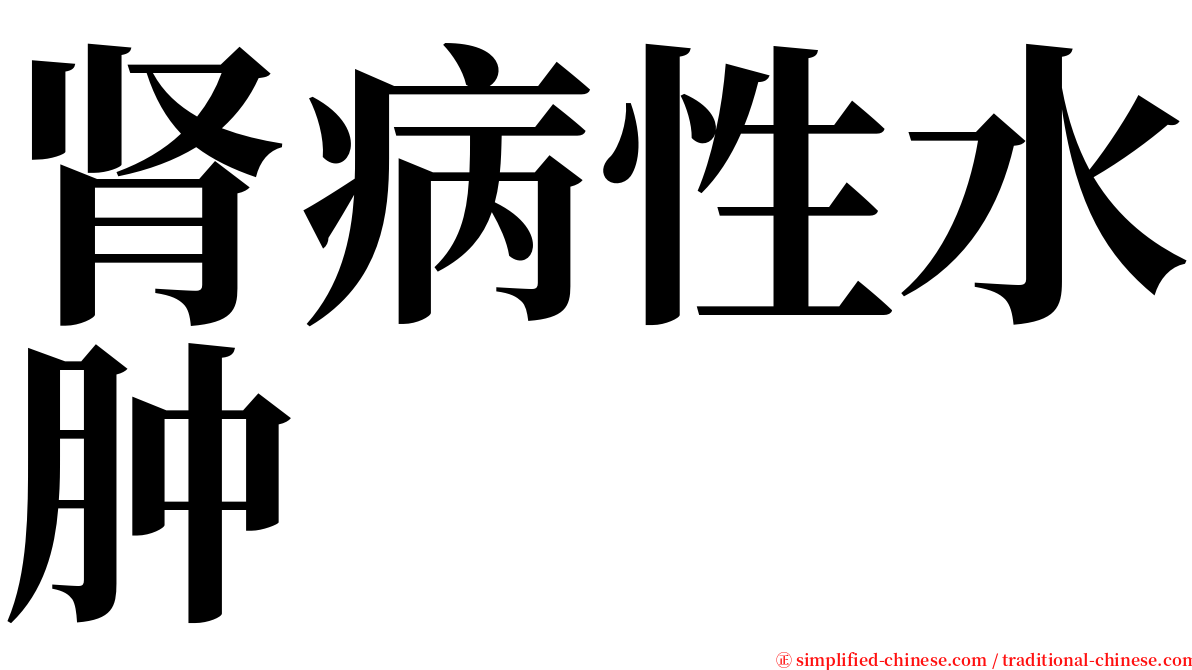 肾病性水肿 serif font