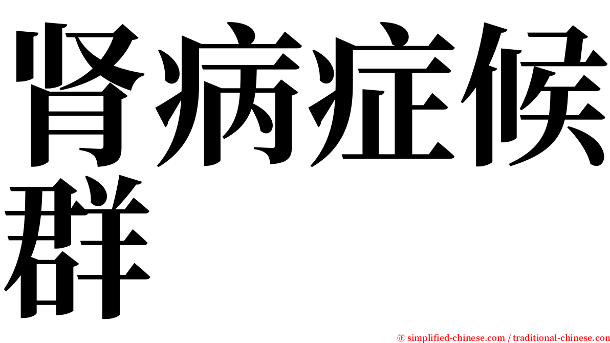 肾病症候群 serif font