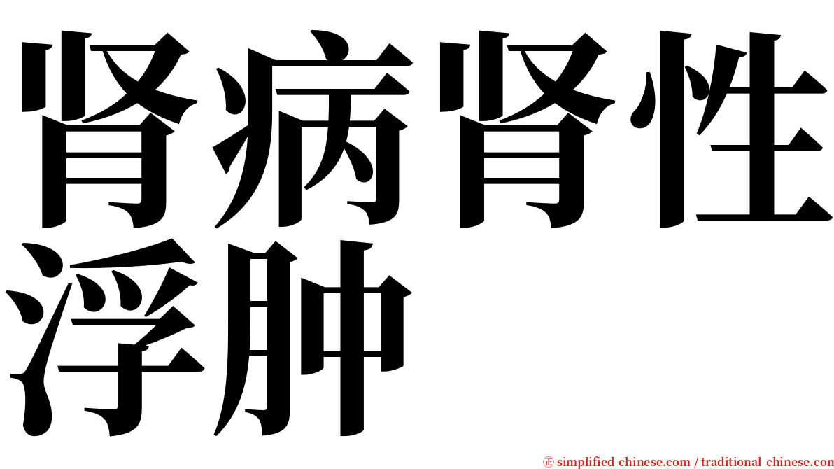 肾病肾性浮肿 serif font