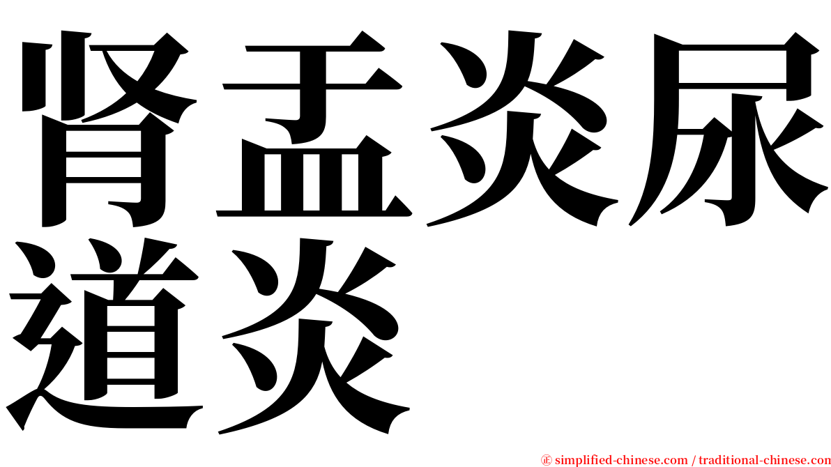 肾盂炎尿道炎 serif font