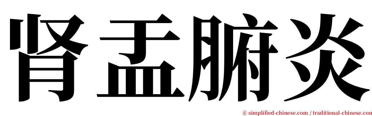 肾盂腑炎 serif font