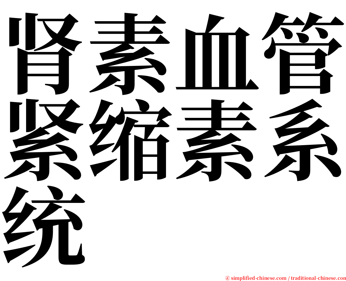 肾素血管紧缩素系统 serif font