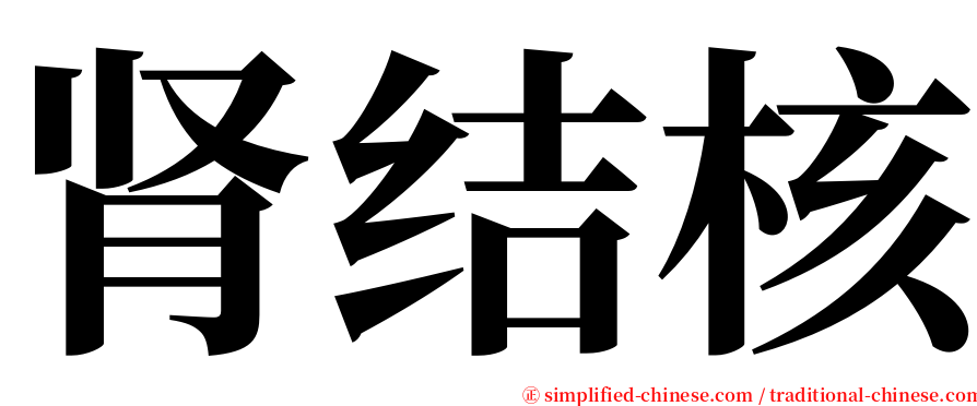 肾结核 serif font