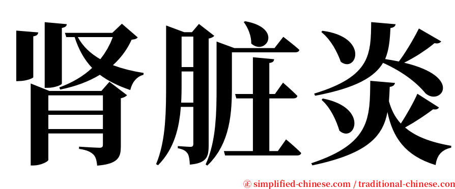 肾脏炎 serif font