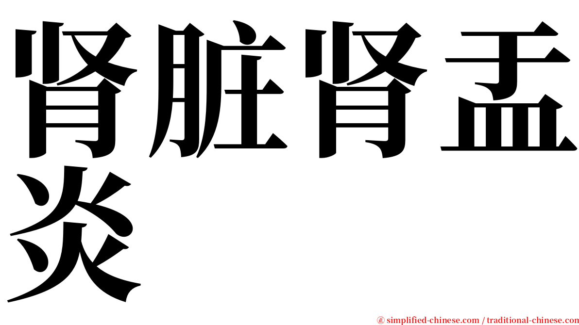 肾脏肾盂炎 serif font