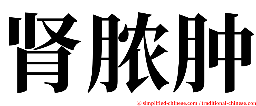 肾脓肿 serif font