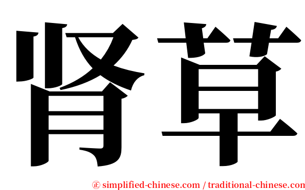肾草 serif font