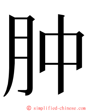 肿 ming font