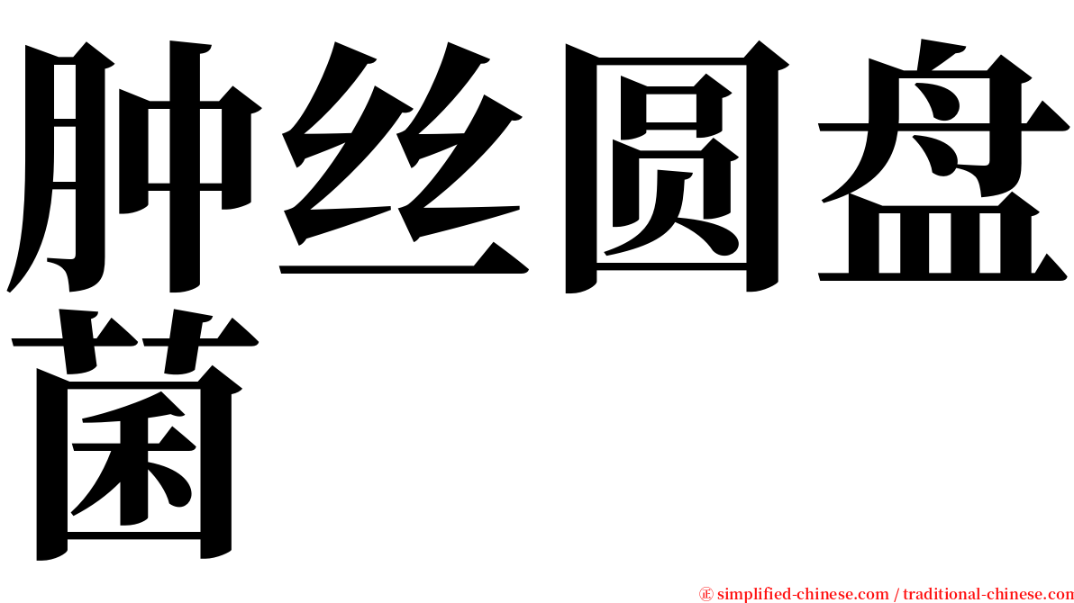 肿丝圆盘菌 serif font