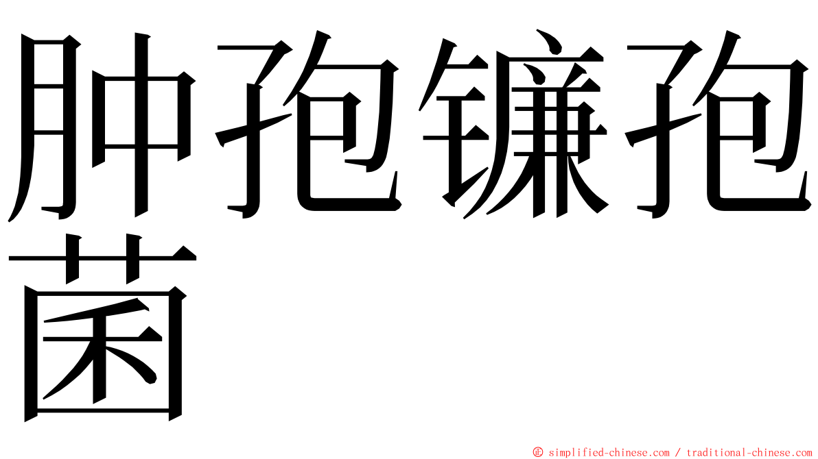 肿孢镰孢菌 ming font