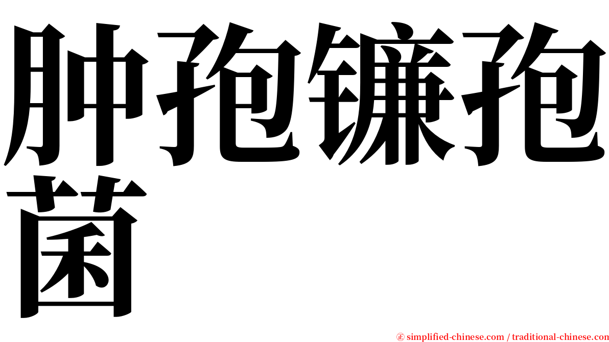 肿孢镰孢菌 serif font