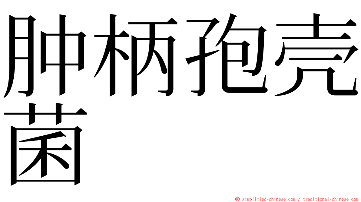 肿柄孢壳菌 ming font