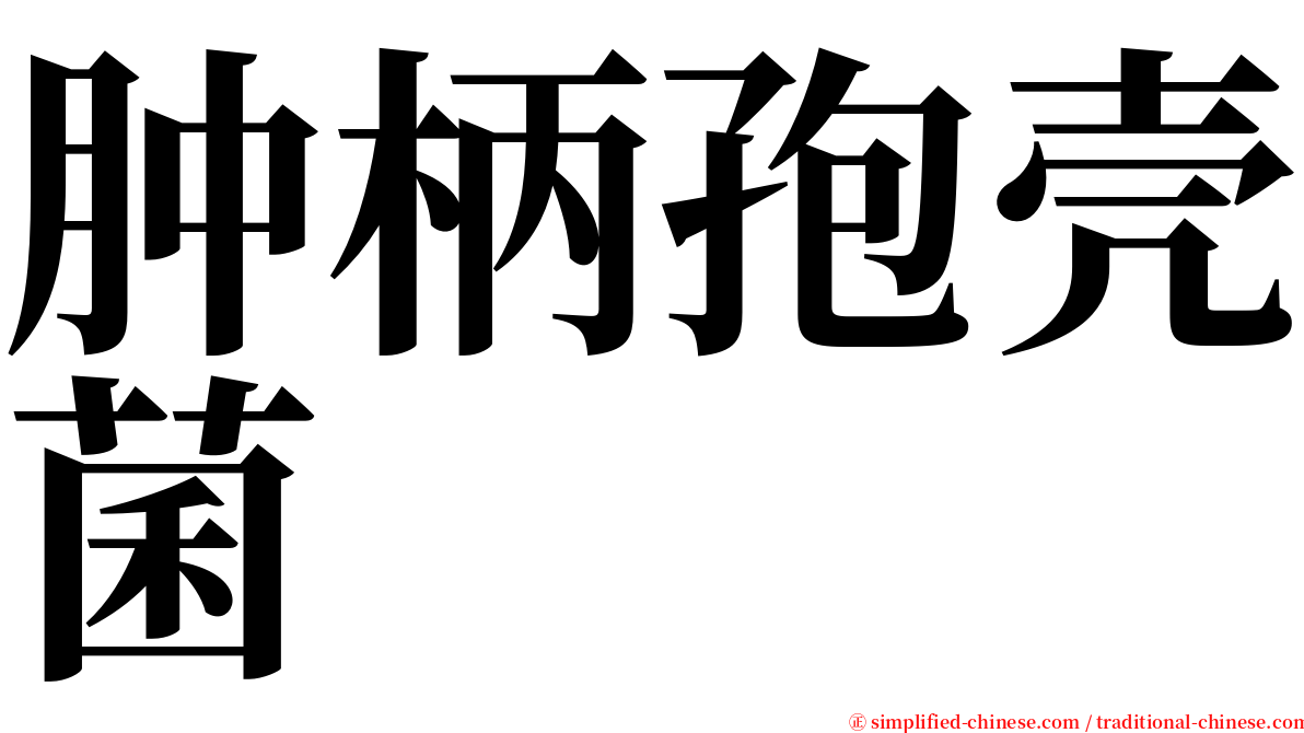 肿柄孢壳菌 serif font