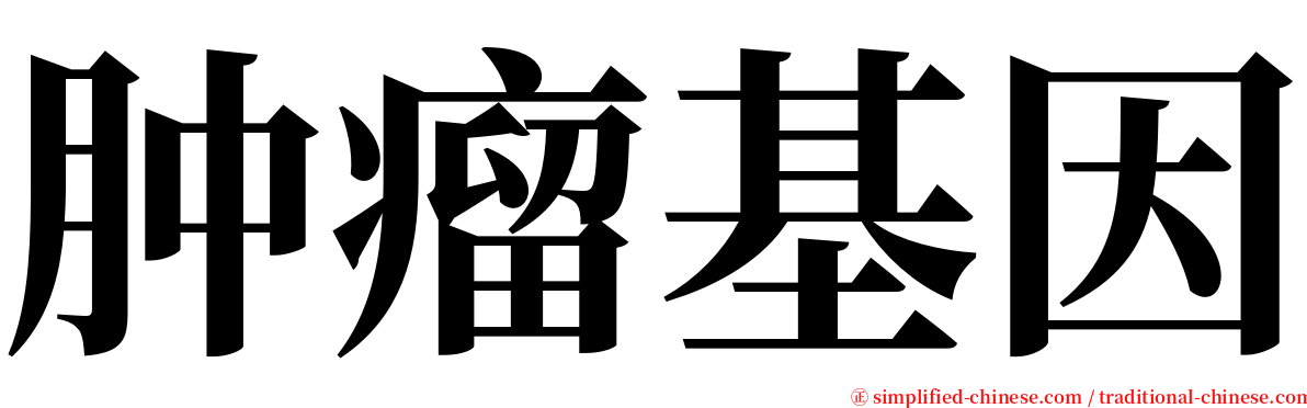 肿瘤基因 serif font