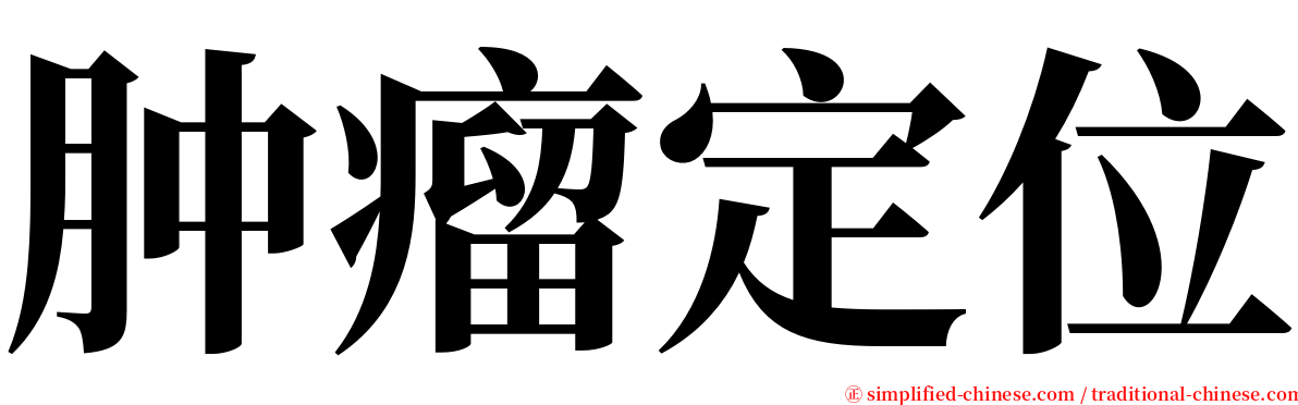 肿瘤定位 serif font