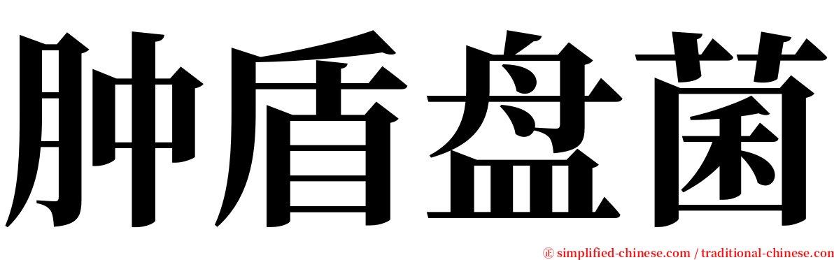 肿盾盘菌 serif font