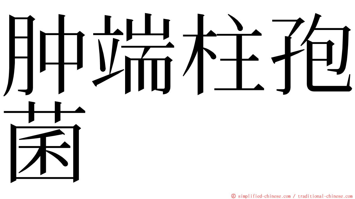 肿端柱孢菌 ming font