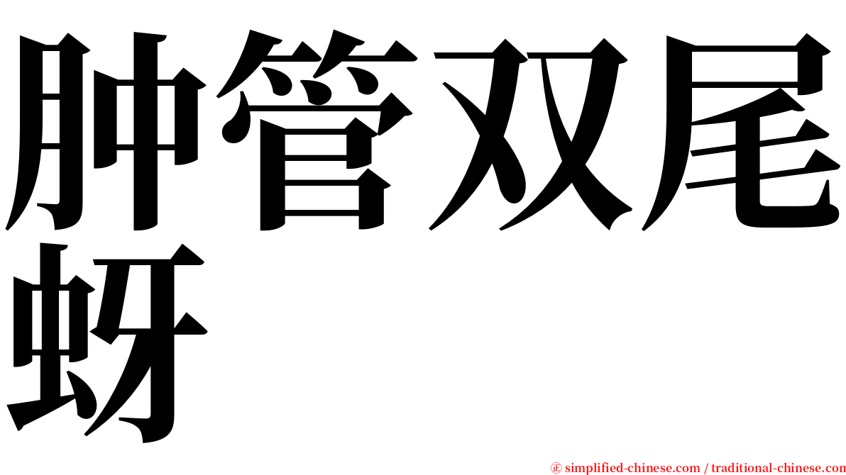 肿管双尾蚜 serif font