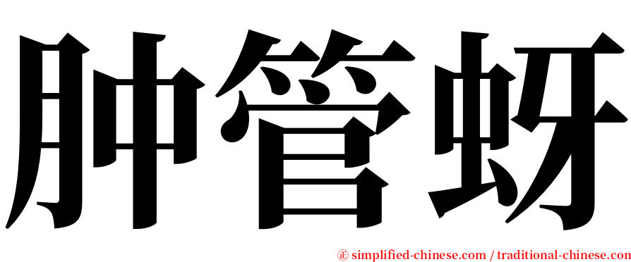 肿管蚜 serif font