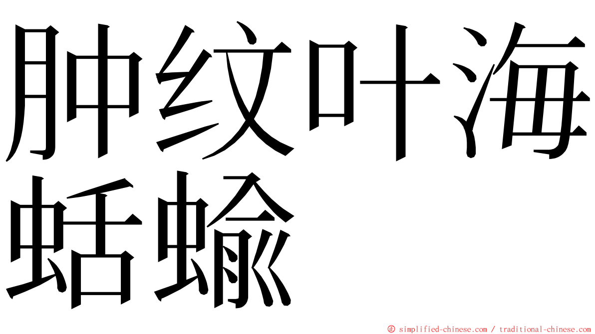 肿纹叶海蛞蝓 ming font