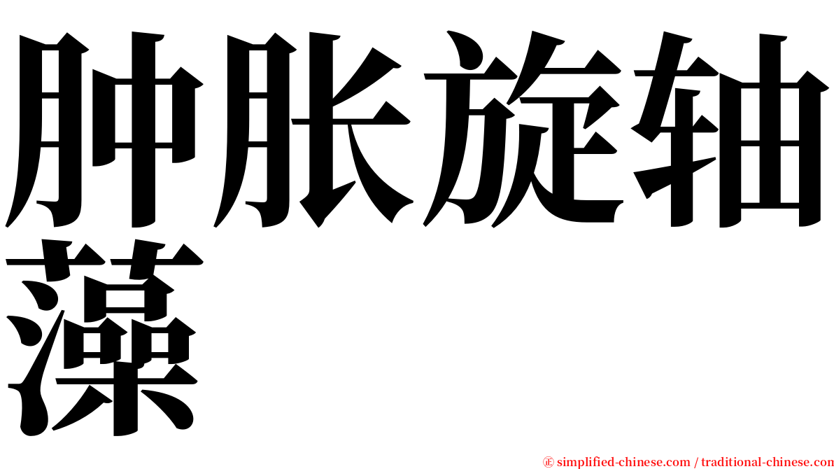 肿胀旋轴藻 serif font