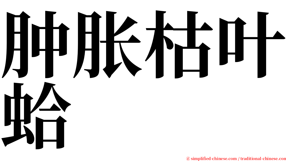 肿胀枯叶蛤 serif font