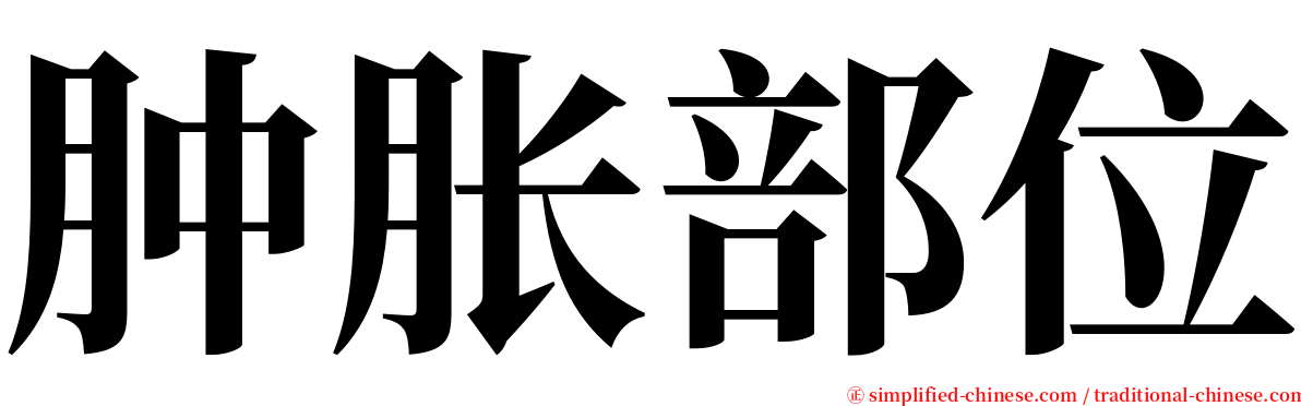 肿胀部位 serif font