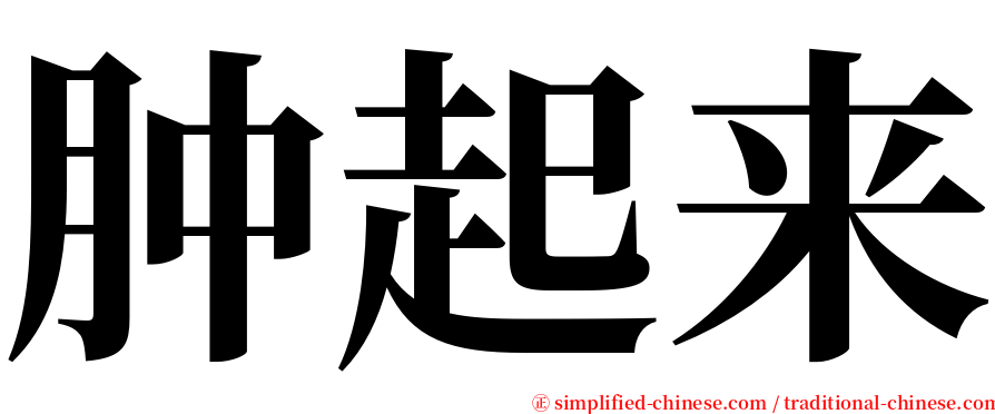 肿起来 serif font