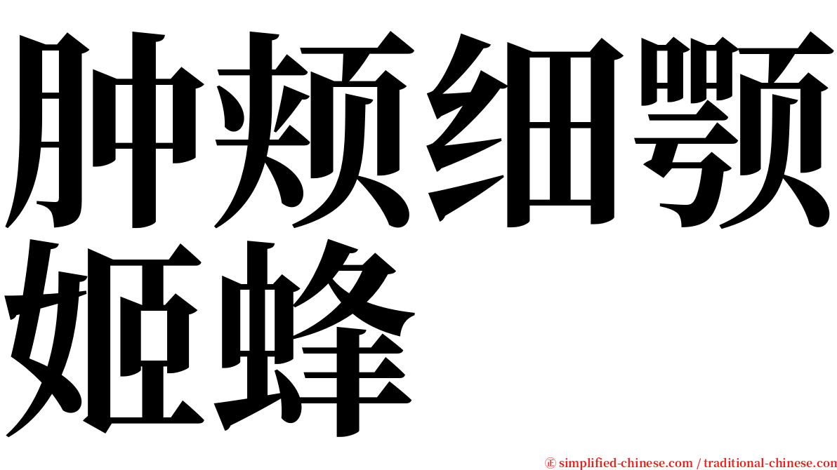 肿颊细颚姬蜂 serif font