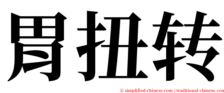 胃扭转 serif font