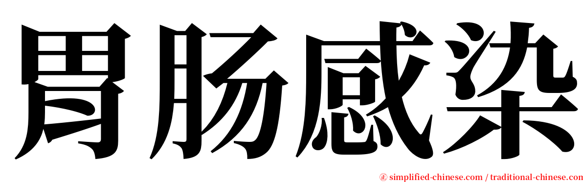 胃肠感染 serif font