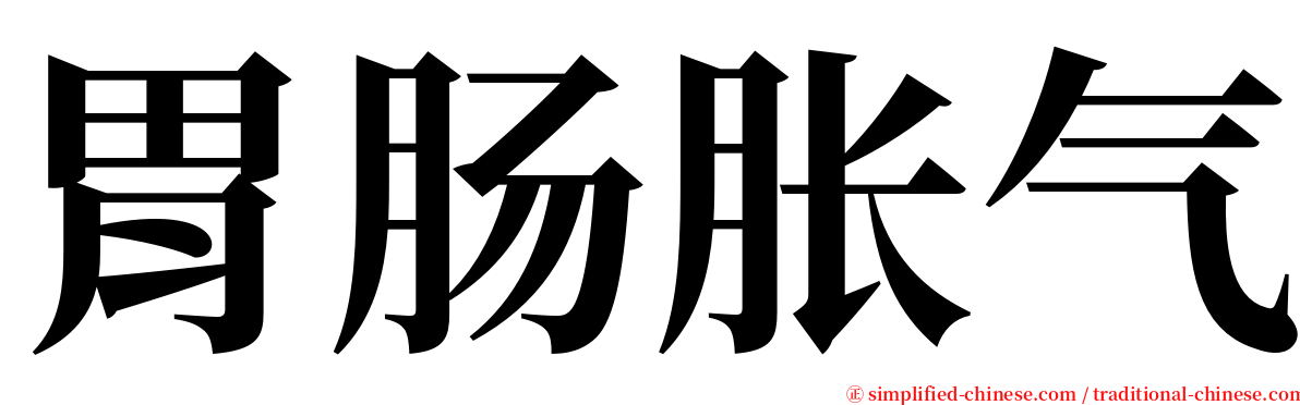 胃肠胀气 serif font