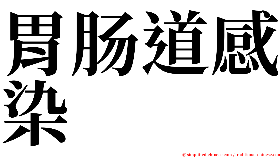 胃肠道感染 serif font