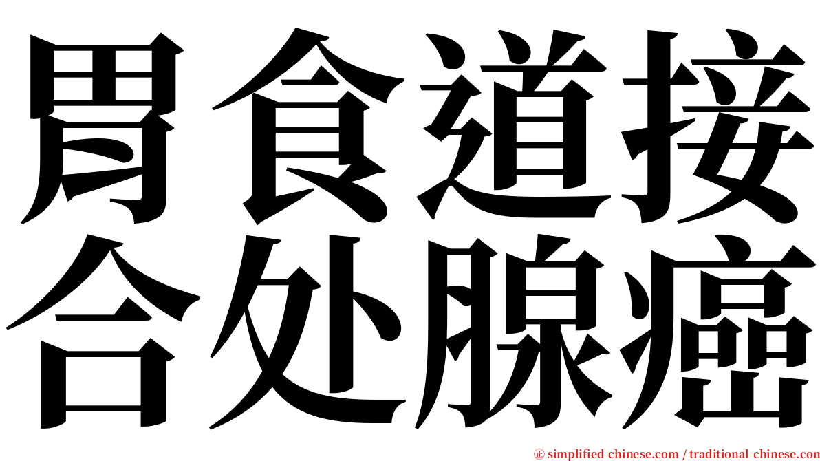 胃食道接合处腺癌 serif font